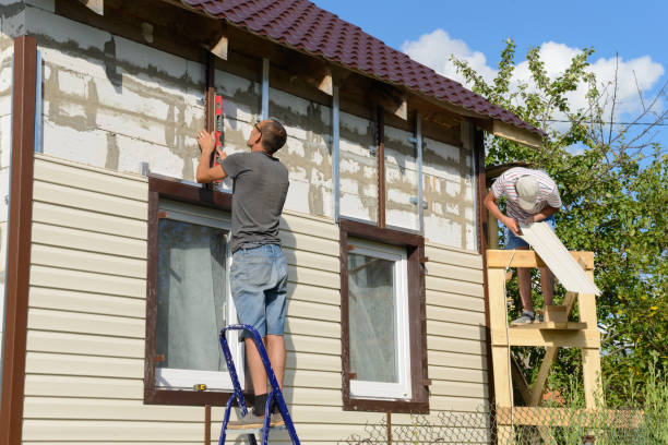 Best Shed Removal  in Two Harbors, MN